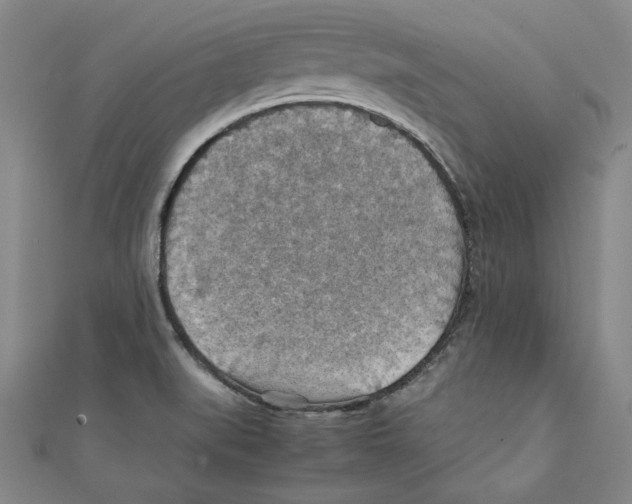 X0000111351519200908071122