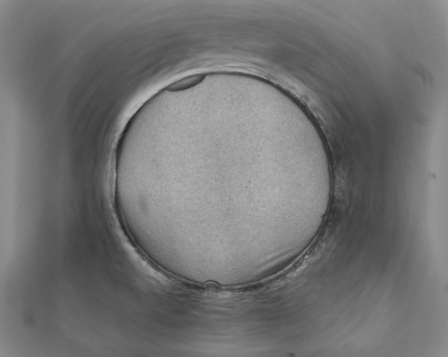 X0000111351520200908071122