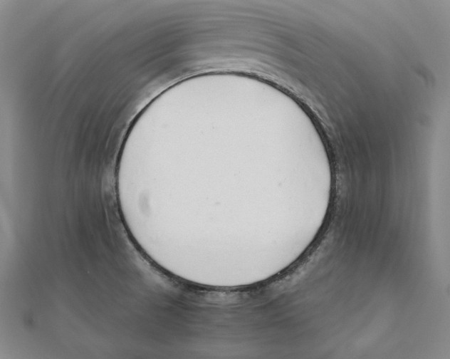 X0000111351521200908071122