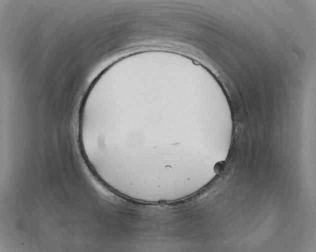 X0000111351523200908071122