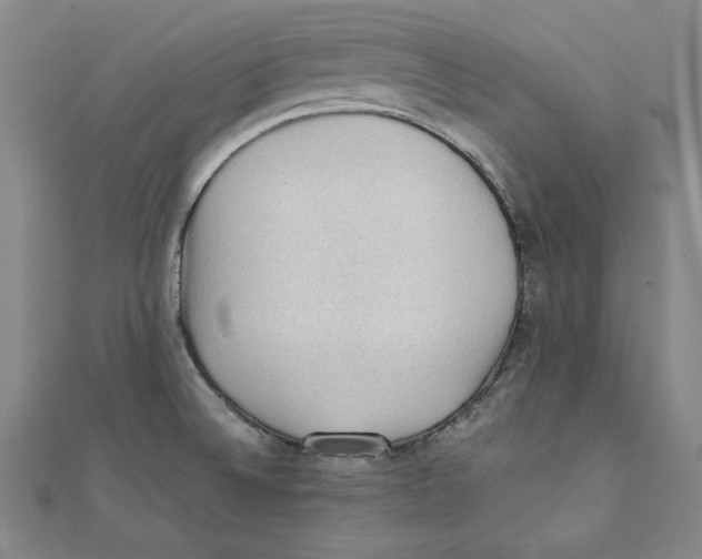 X0000111351524200908071122