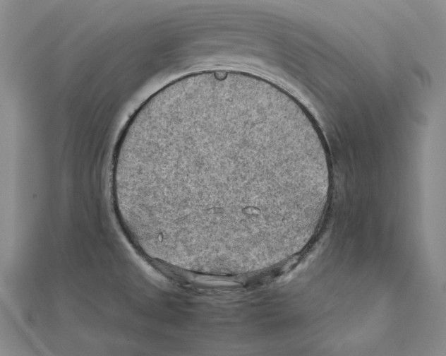 X0000111351525200908071122