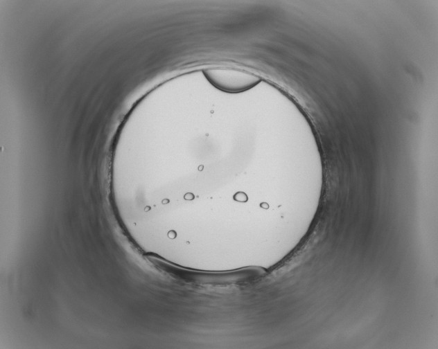 X0000111351526200908071122