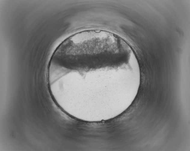 X0000111351527200908071122