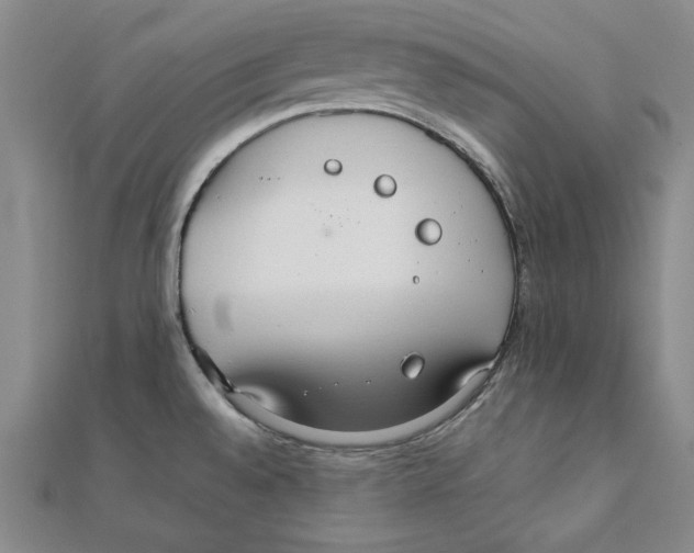 X0000111351528200908071122