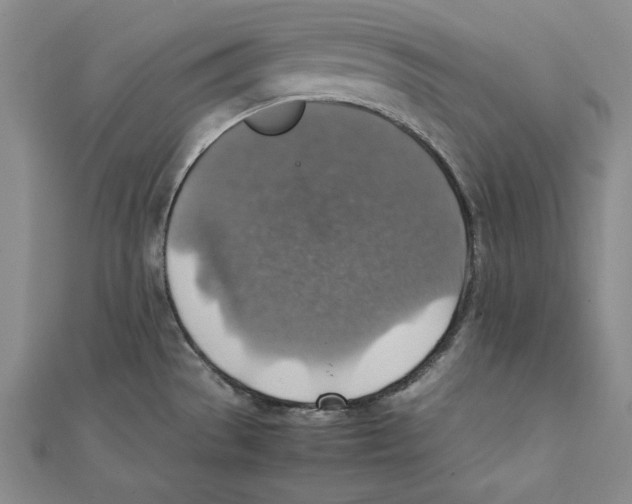 X0000111351529200908071122