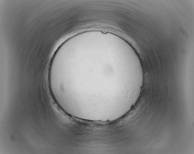 X0000111351530200908071122