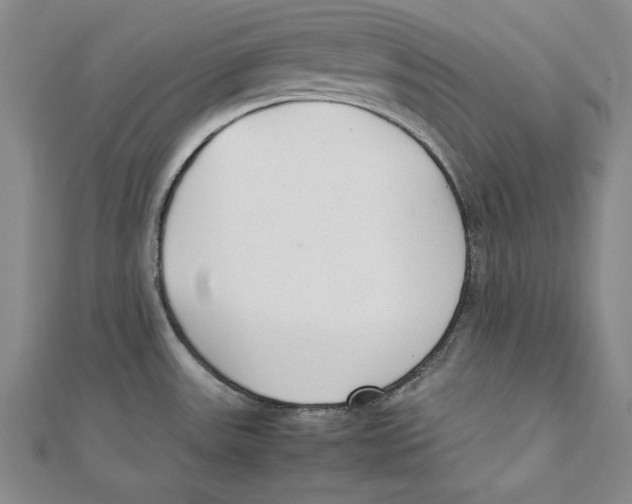 X0000111351531200908071122