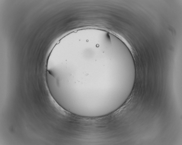 X0000111351532200908071122