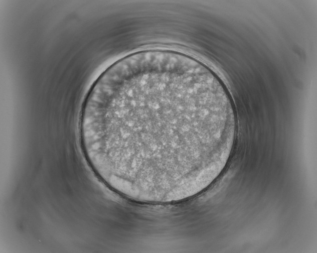 X0000111351533200908071122