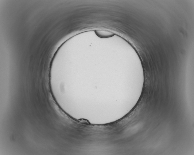 X0000111351534200908071122