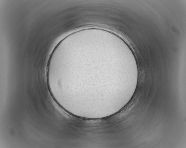 X0000111351535200908071122