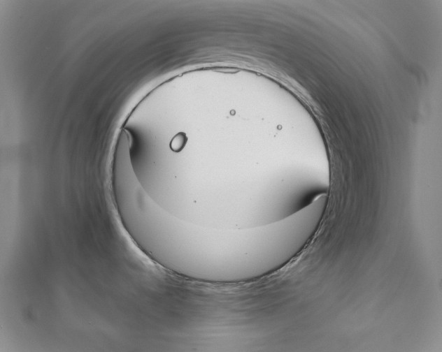 X0000111351536200908071122