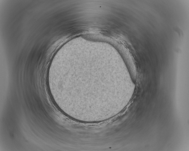 X0000111350001200908211244