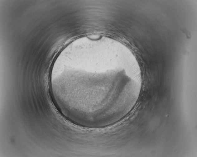 X0000111350002200908211244