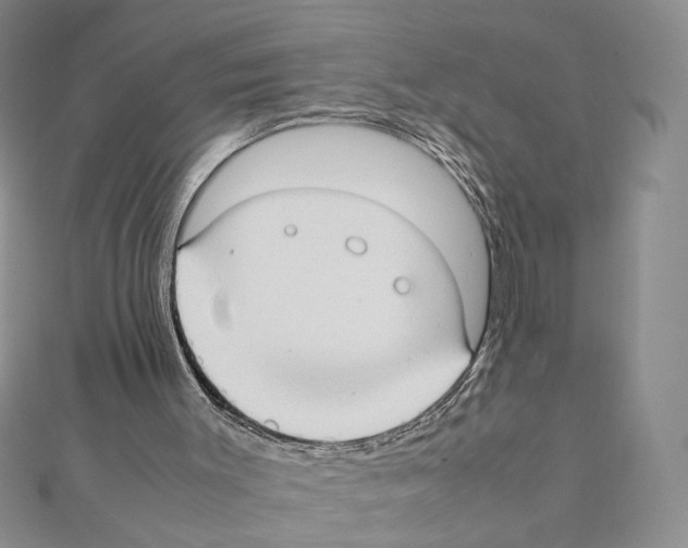 X0000111350003200908211244