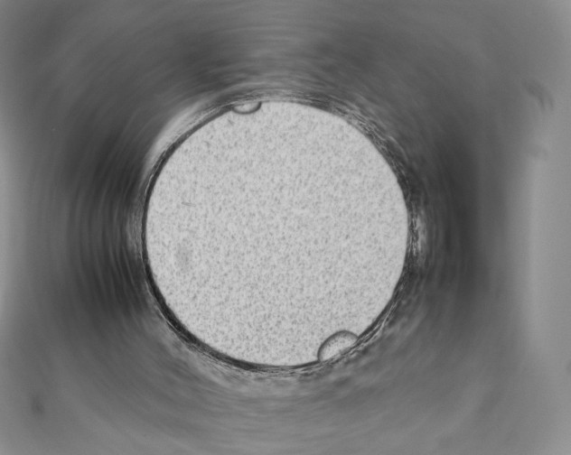 X0000111350004200908211244