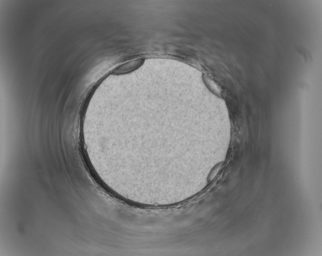 X0000111350005200908211244