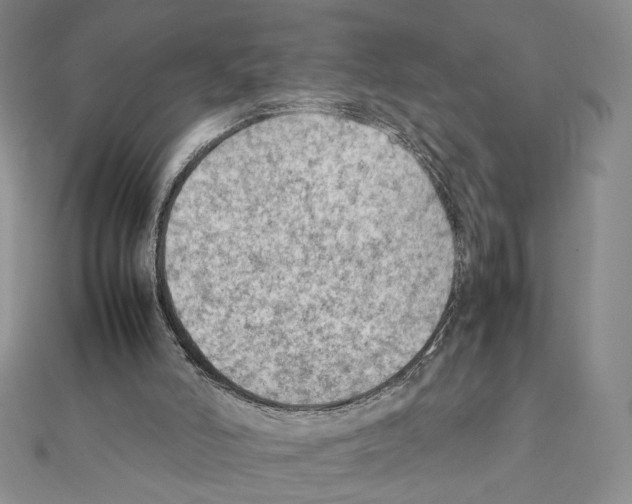 X0000111350006200908211244