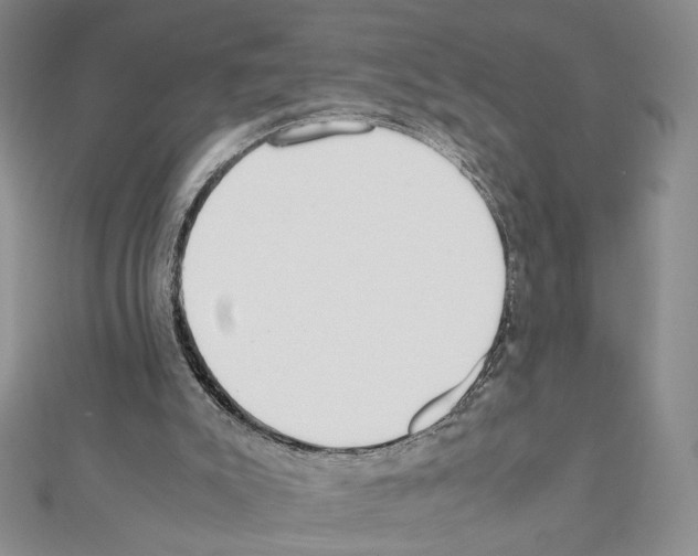 X0000111350007200908211244