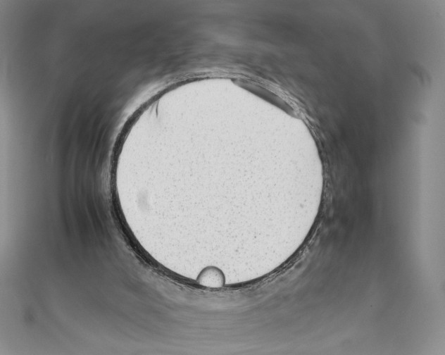 X0000111350008200908211244