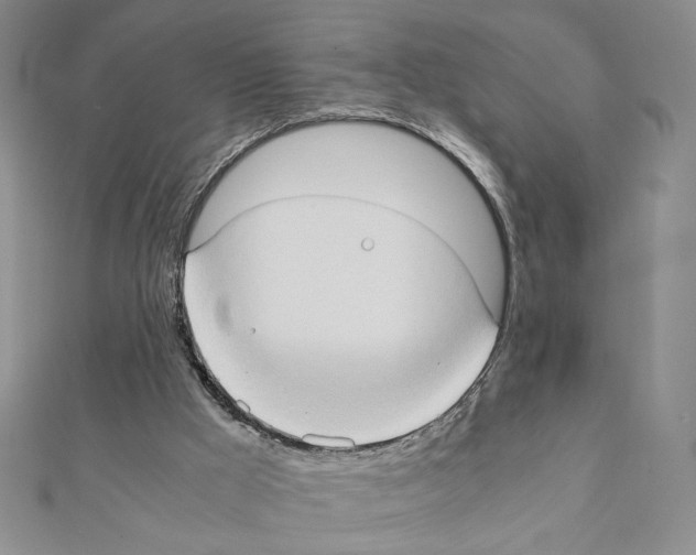 X0000111350009200908211244