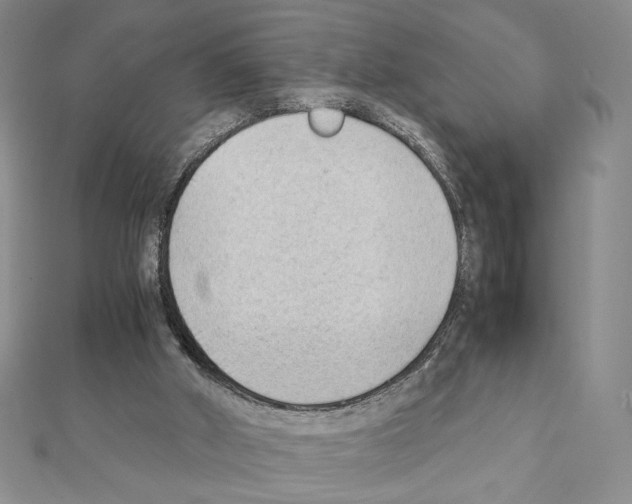 X0000111350010200908211244