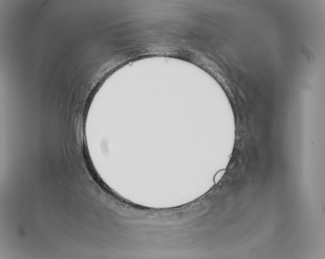 X0000111350011200908211244