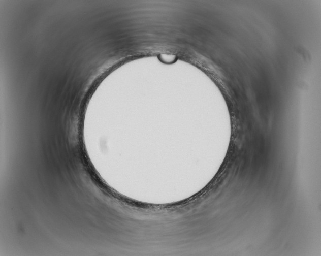 X0000111350012200908211244