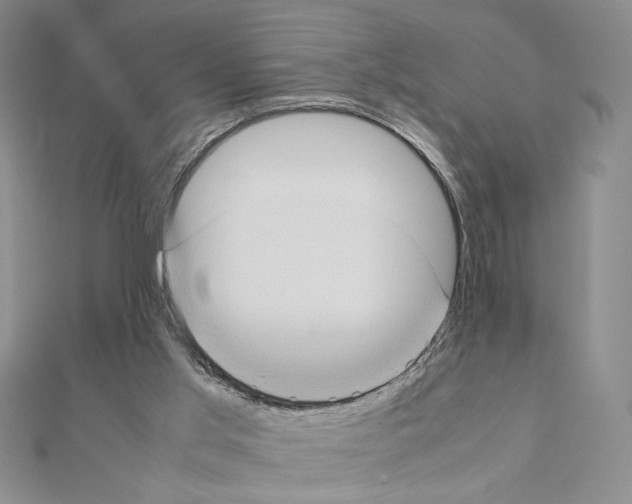 X0000111350013200908211244