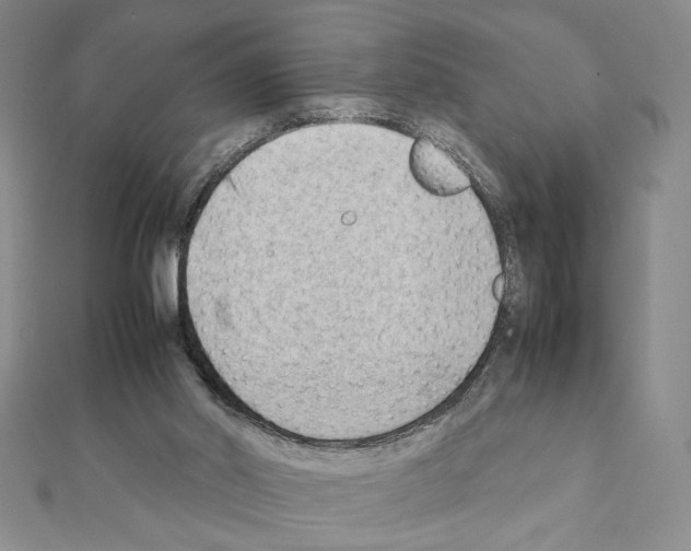 X0000111350014200908211244