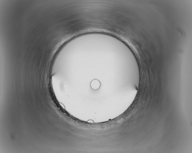 X0000111350015200908211244