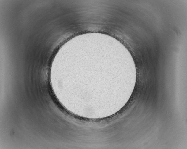 X0000111350016200908211244