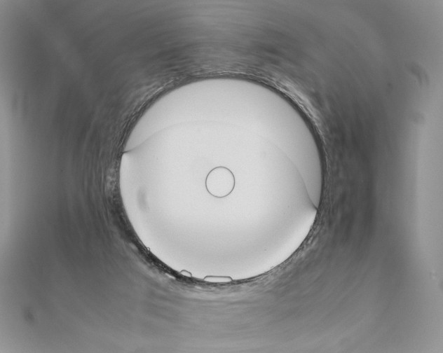 X0000111350017200908211244