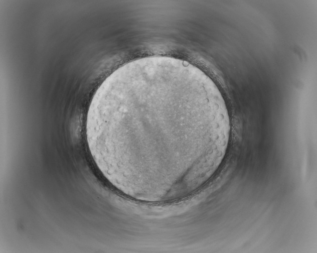 X0000111350018200908211244