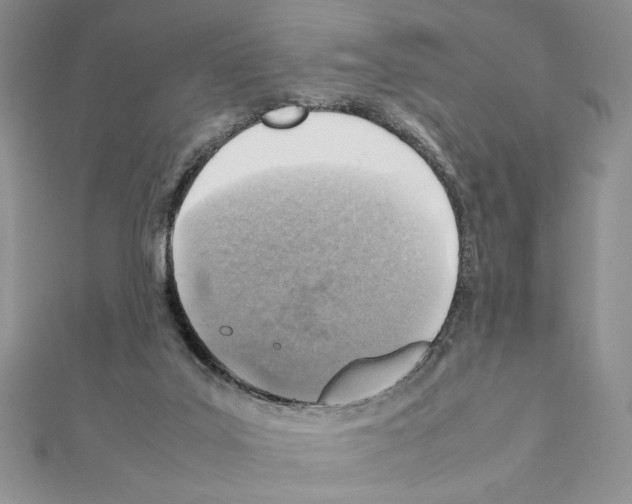 X0000111350019200908211244