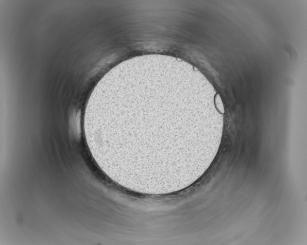 X0000111350020200908211244