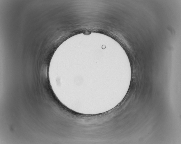 X0000111350021200908211244