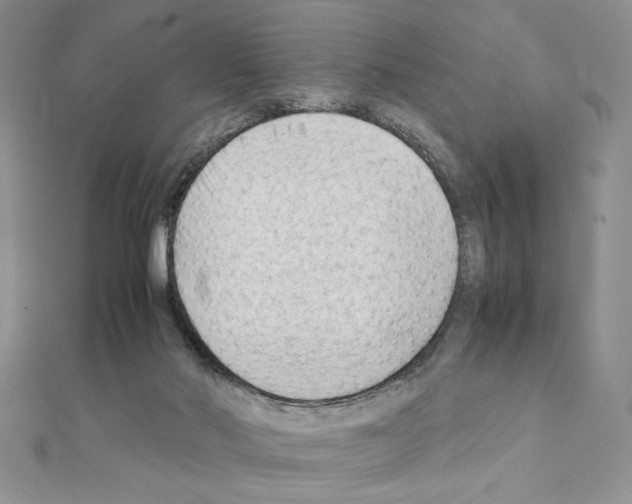 X0000111350022200908211244