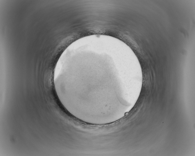 X0000111350023200908211244