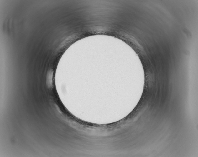 X0000111350024200908211244