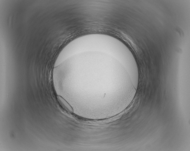X0000111350025200908211244