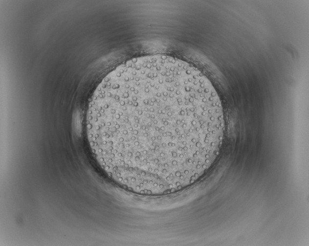 X0000111350026200908211244