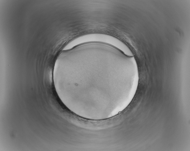X0000111350027200908211244