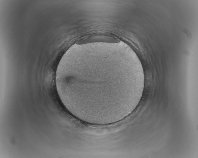 X0000111350029200908211244