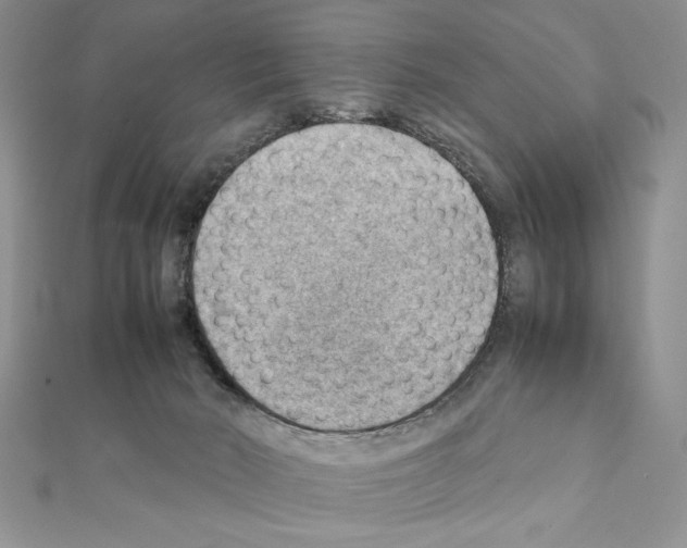 X0000111350030200908211244