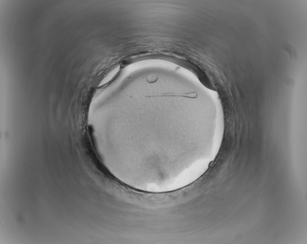 X0000111350031200908211244