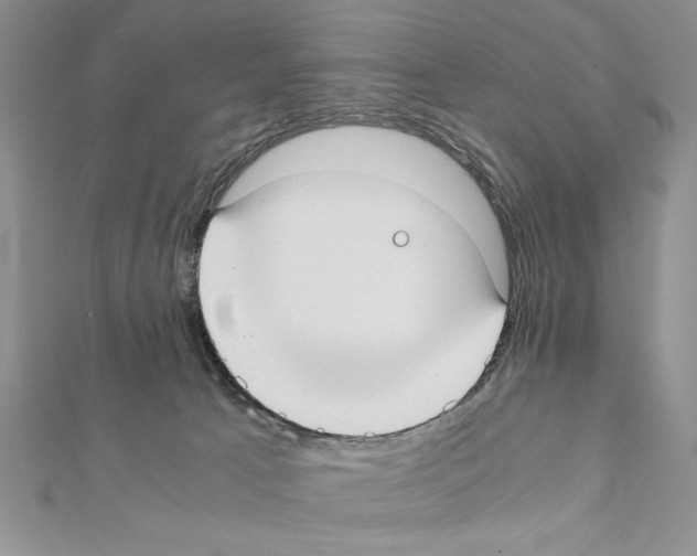 X0000111350033200908211244