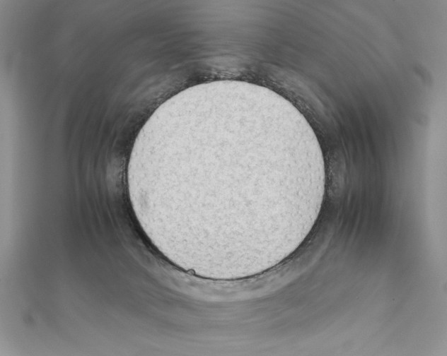 X0000111350034200908211244