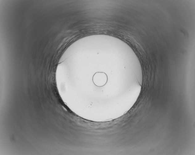 X0000111350035200908211244